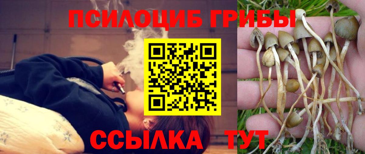Аргун  Псилоцибиновые грибы ЛСД  Вход с VPN 