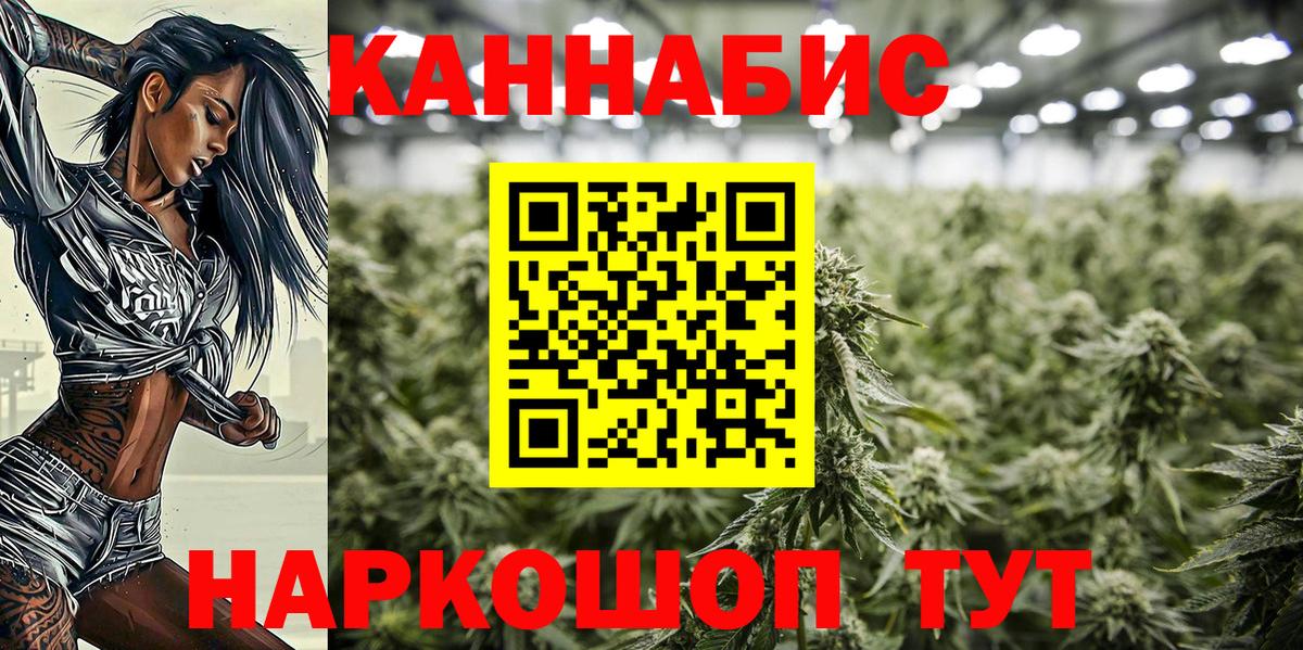 Марихуана планчик  Вход с VPN  Аргун  Марихуана гибрид 